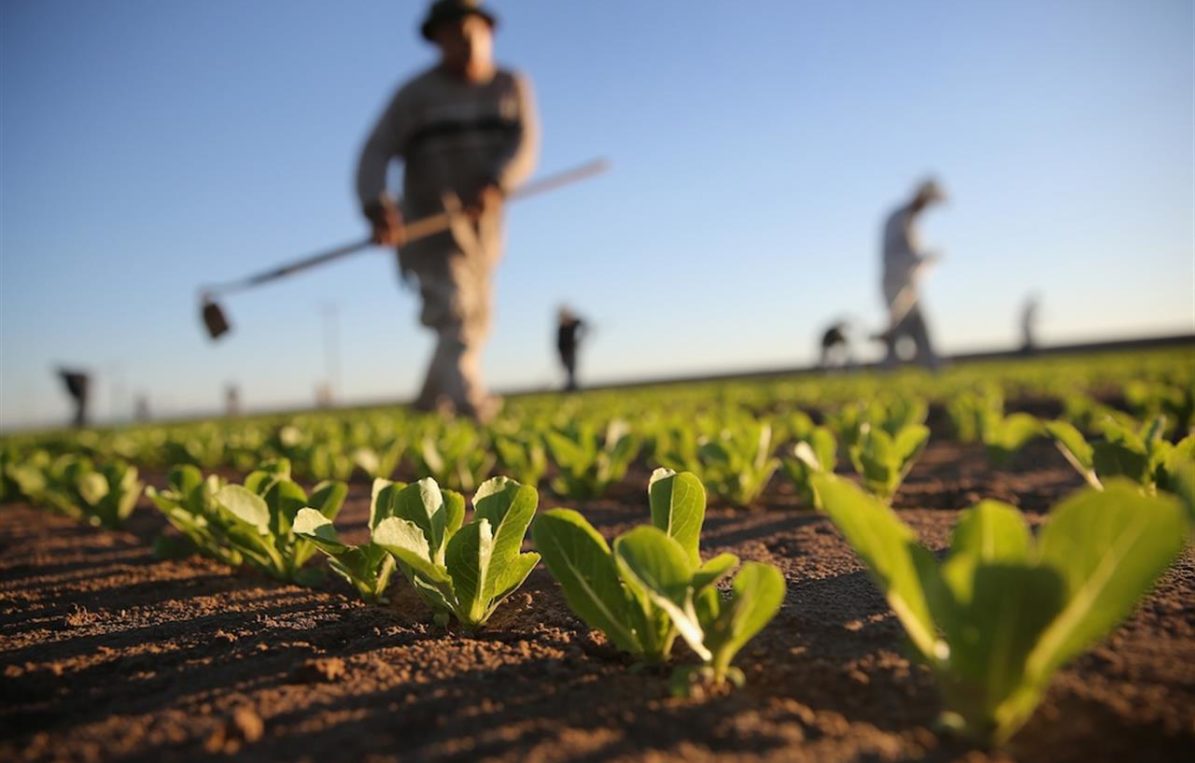 AgricolturaItaliana